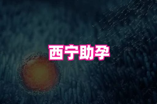 nub孕网 1